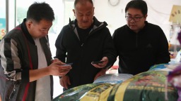 河北顺平：把好种子质量关 护航秋播保生产