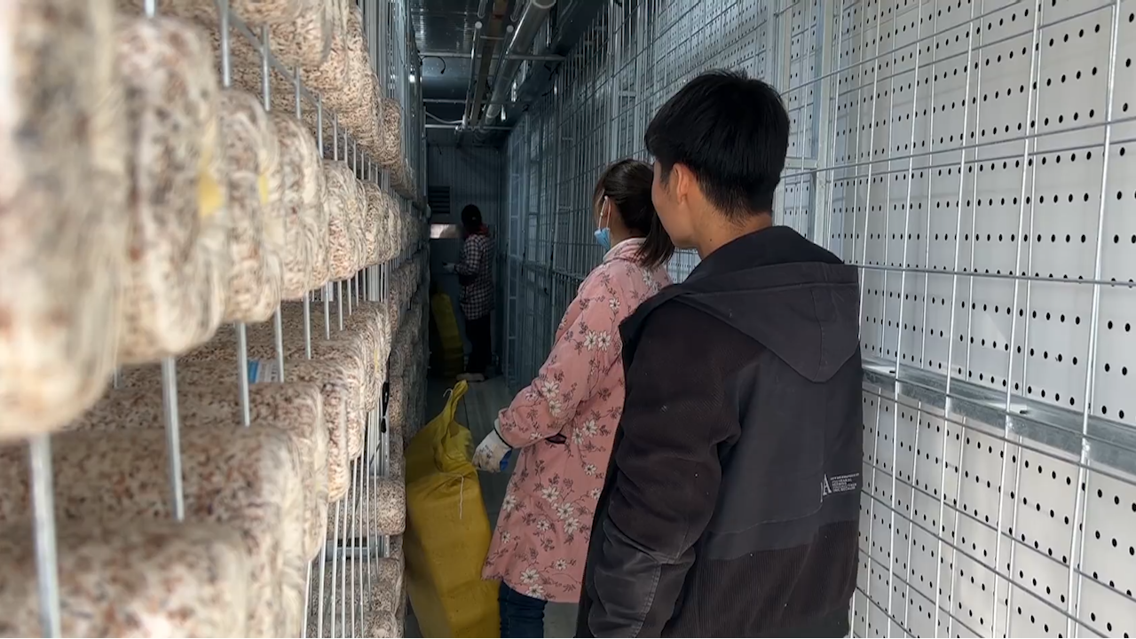 石家庄市鹿泉区：上蔬源植物工厂 解锁四季丰收密码_fororder_image005