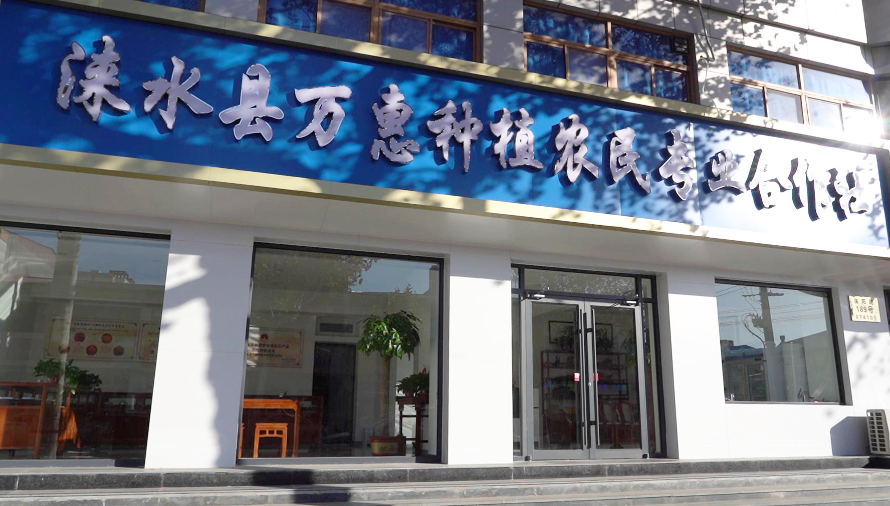 河北涞水：党支部领办合作社 多元经营助力村民增收致富