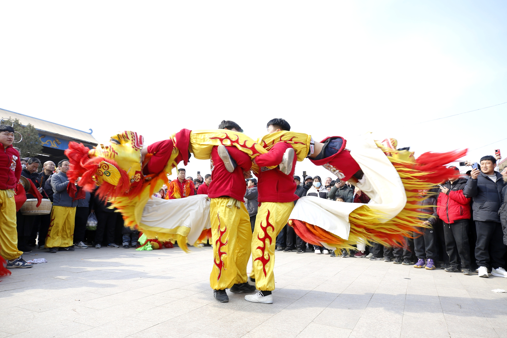 双争有我丨保定市满城区：探访庙会文化 感受传统魅力_fororder_精彩的舞狮 摄影 田素然