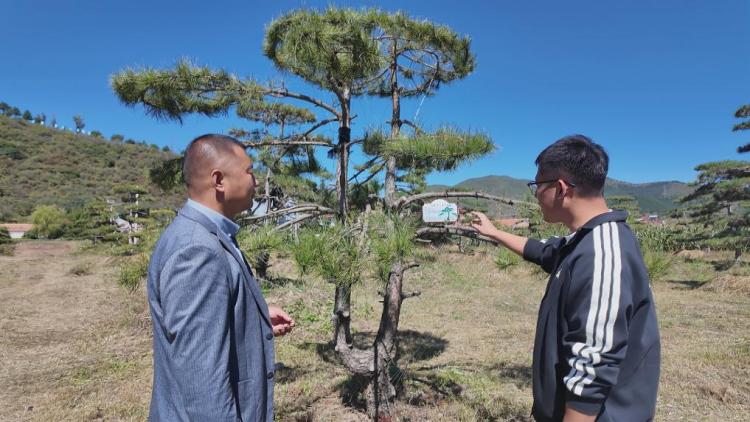 “天幕课堂”开讲，“新农人”学艺促振兴_fororder_202510170fd861c4879b4c25bc424e4fa5d3c0b9_eaf4ccc7fbef40539e810724c0712d1d (1)