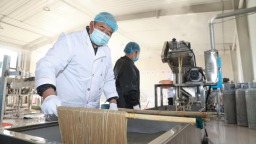 河北高阳：粉条赋能乡村振兴