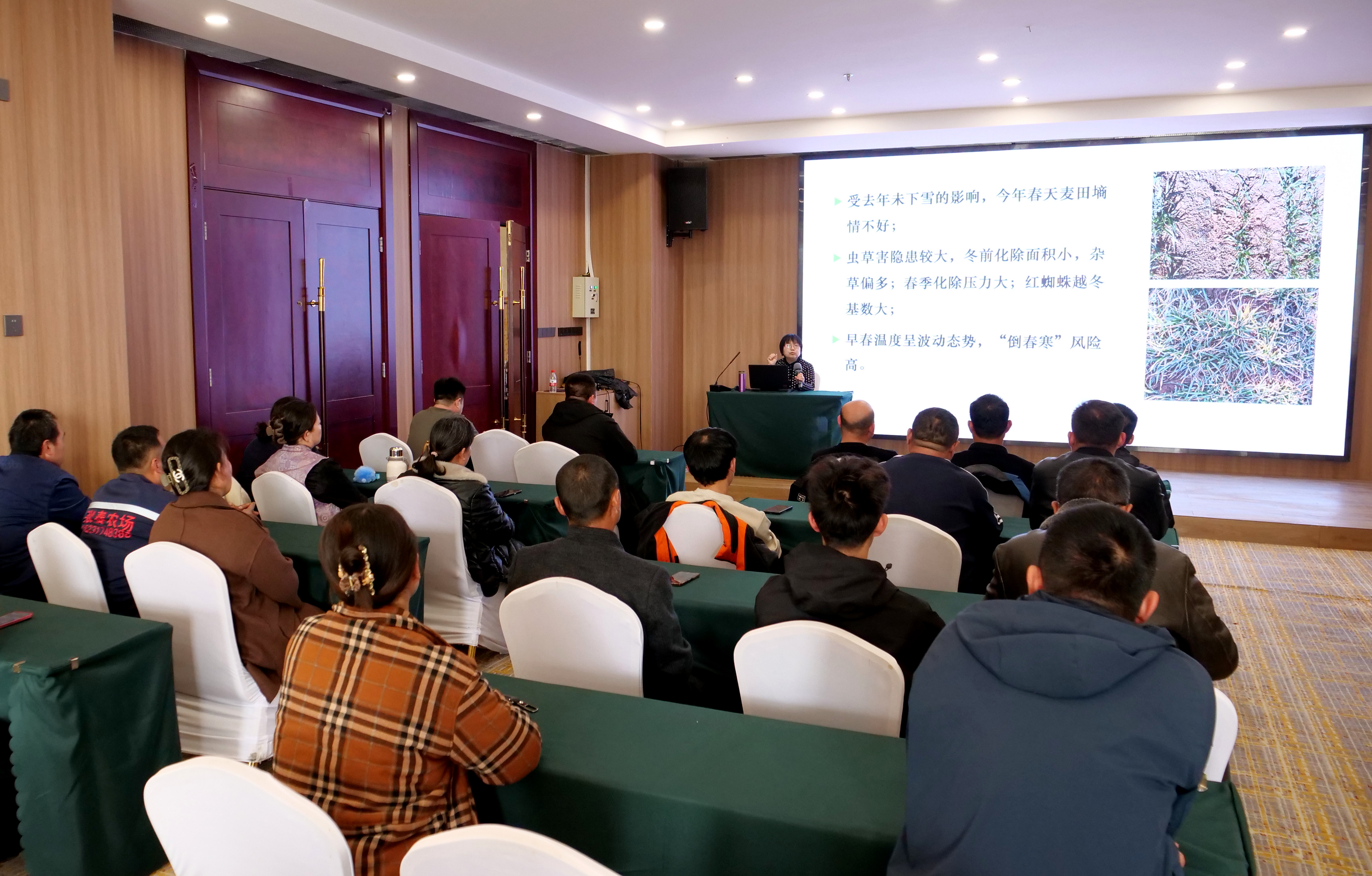 河北献县： 农业专家行 小麦春管忙_fororder_图片1