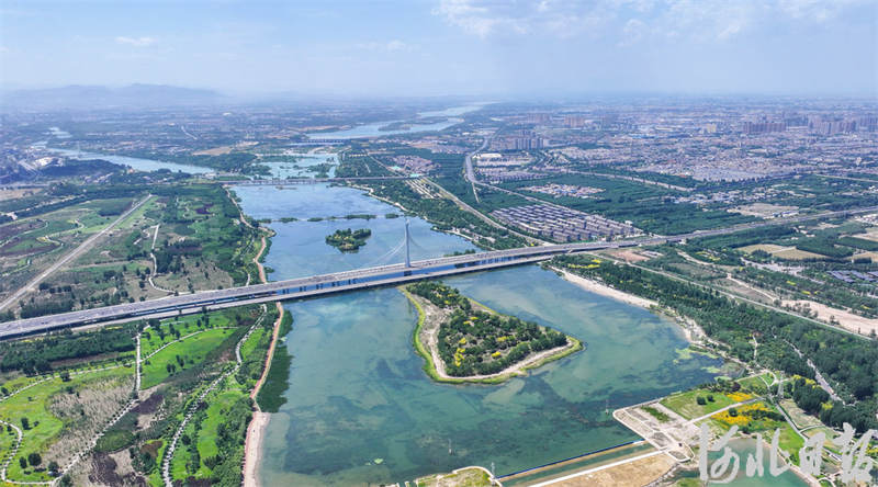 滹沱河畔夏意浓