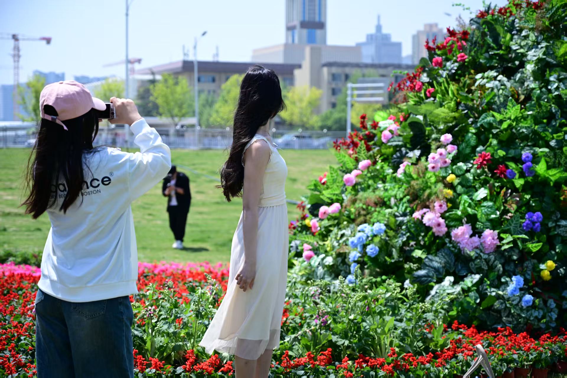 350万株鲜花扮靓石家庄 营造浓浓节日氛围_fororder_幸福石家庄2