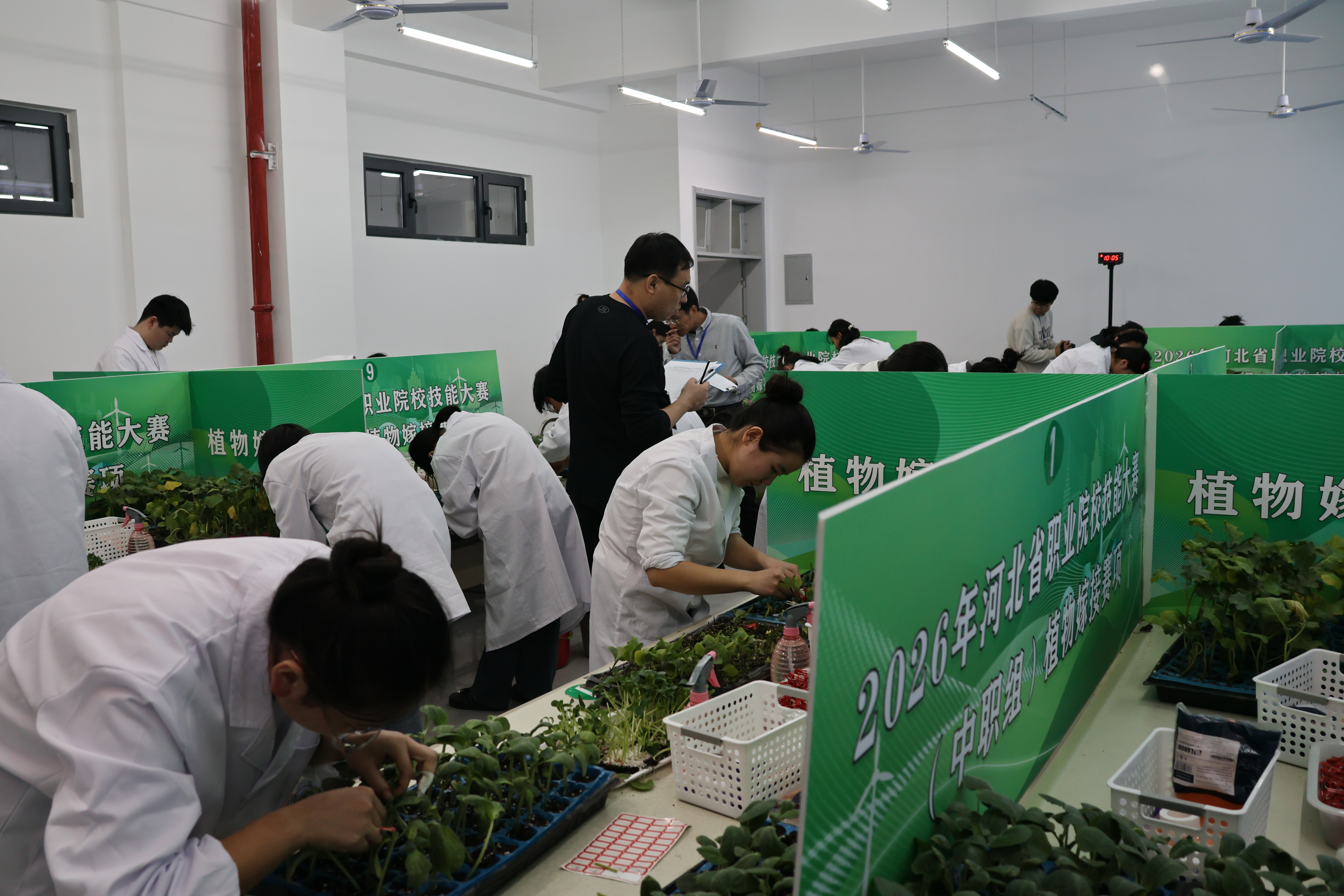 图片默认标题_fororder_3