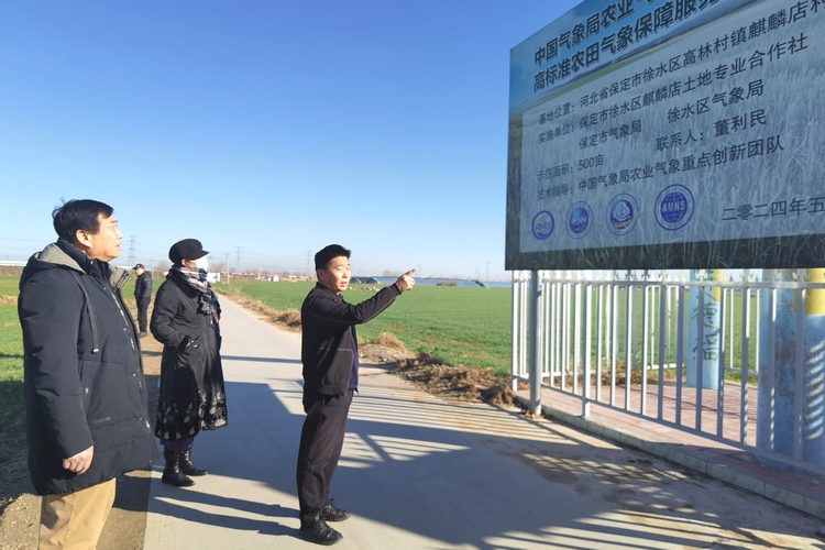 保定市徐水区:支部领办合作社 村民创业路更多