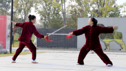 沧州运河区：水韵悠长武风盛