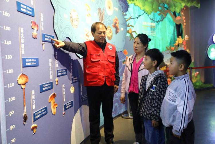 图片默认标题_fororder_image001