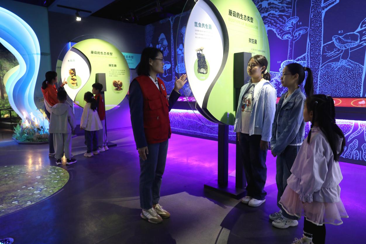 图片默认标题_fororder_image007