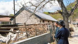 河北承德：泥土里长出的答案