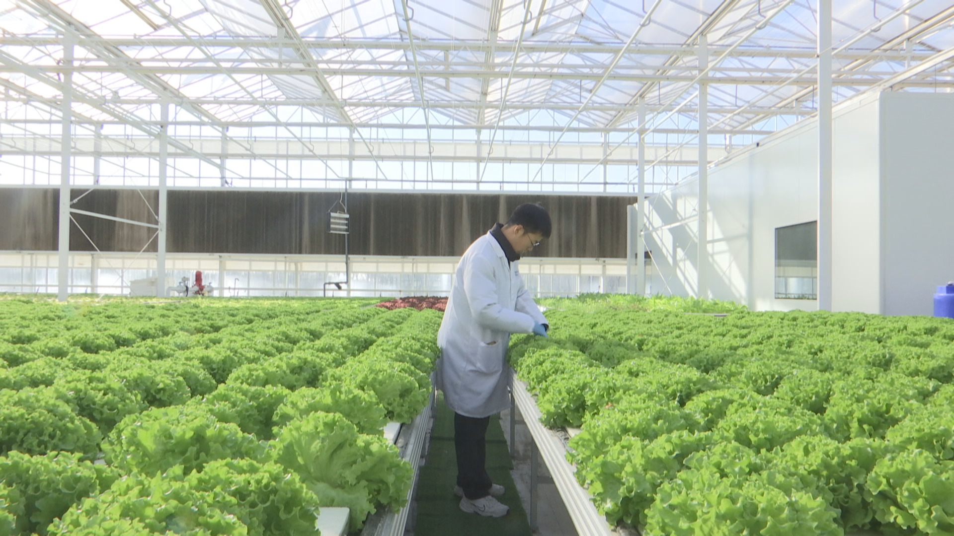 图片默认标题_fororder_image007