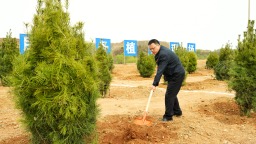 河北迁安：政企携手共建“生态绿城”