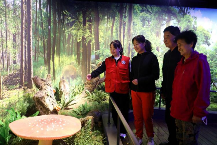 图片默认标题_fororder_image005