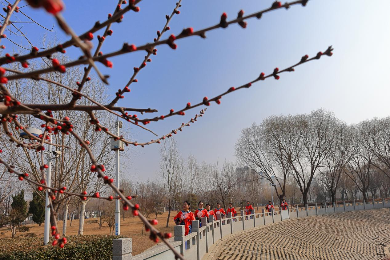 保定徐水：国风雅韵惊艳初春时光_fororder_图片 3