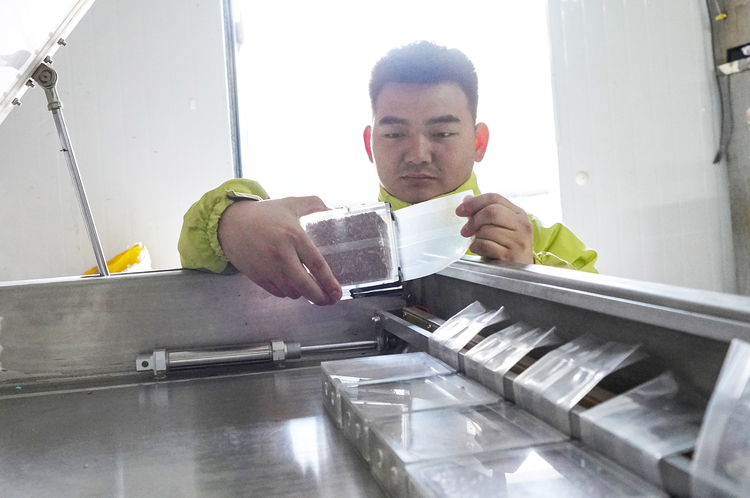 河北迁安：长城脚下胭脂米受宠走俏