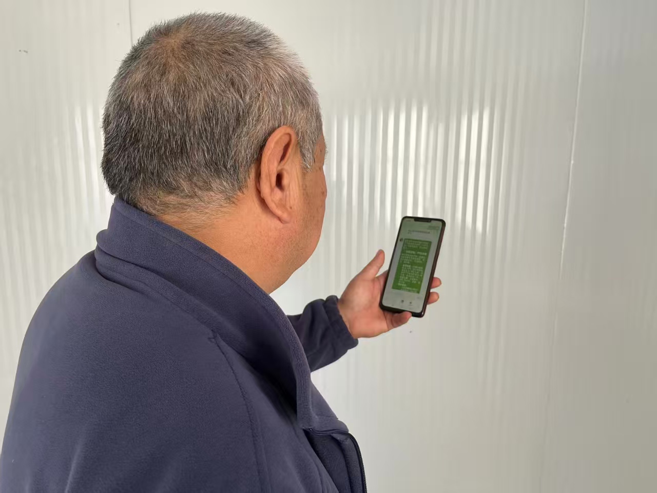 蠡县“中华蠡农保”点亮麻山药产业数智路_fororder_0002