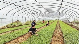 邯郸曲周县打造生物健康全产业链新高地