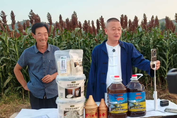 保定市徐水区：高粱红满天 山乡客如云_fororder_崔长锁（右）与村干部直播带货，诚邀四方游客。刘丽娟 摄