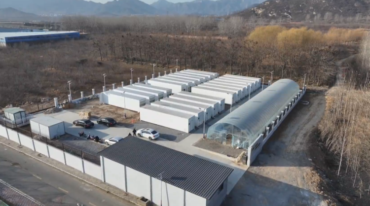 石家庄市鹿泉区：智慧方舱育菌菇 乡村联建促振兴_fororder_image005