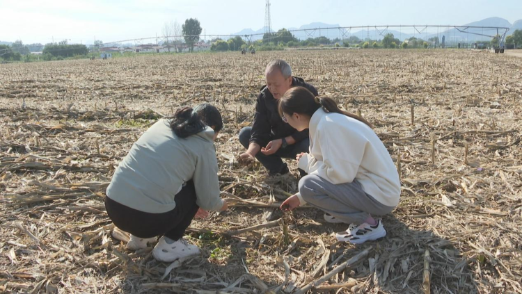 石家庄鹿泉区：农技专家田间“把脉问诊” 助力冬小麦播种_fororder_图片1