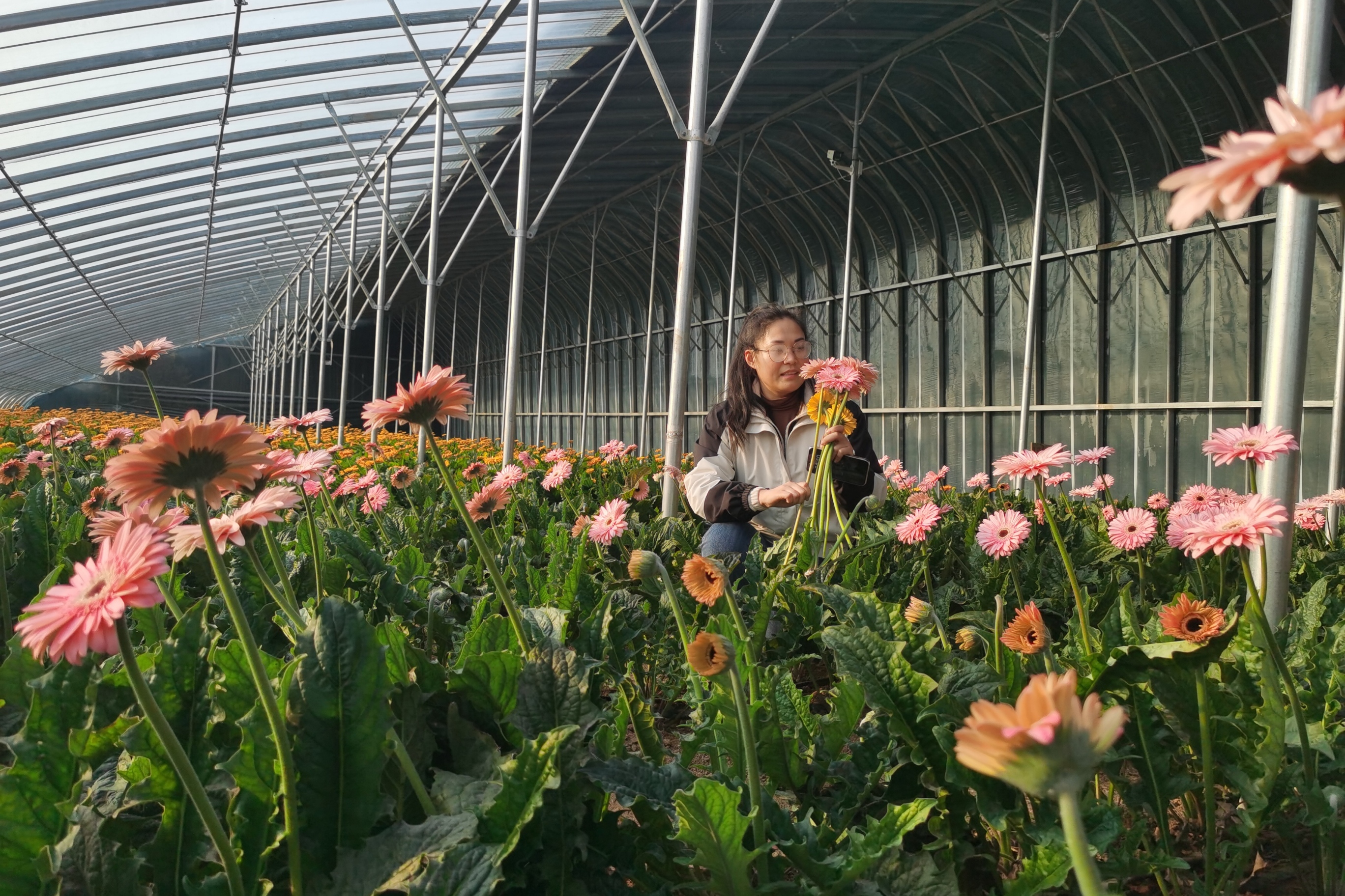 保定市徐水区：支部引领拓新路 合作社里合作忙