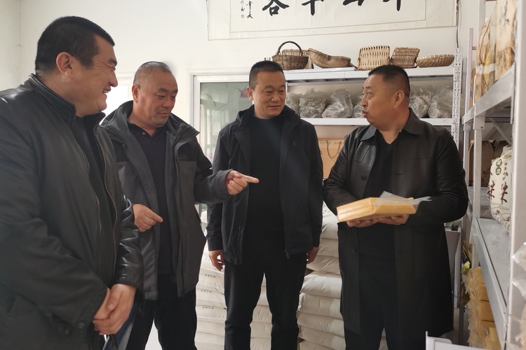 保定市徐水区:支部引领拓新路 合作社里合作忙
