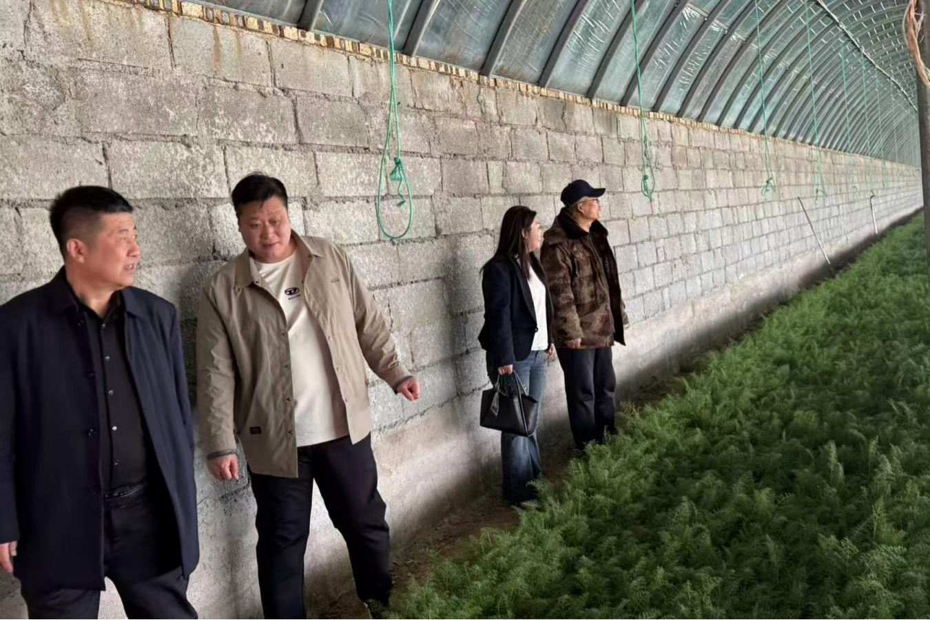 河北海兴：“直通车”进企业 优环境促发展_fororder_图片2