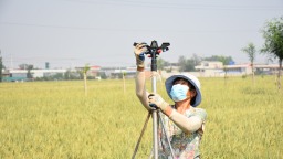 图片默认标题