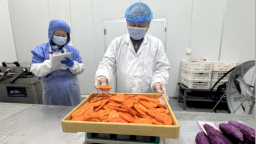 河北高碑店：“媒体+”赋能豆腐丝产业 传统美食破圈焕新