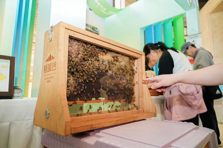 河北保定博物馆的总数达到97家_fororder_河北保定博物馆的总数达到97家4