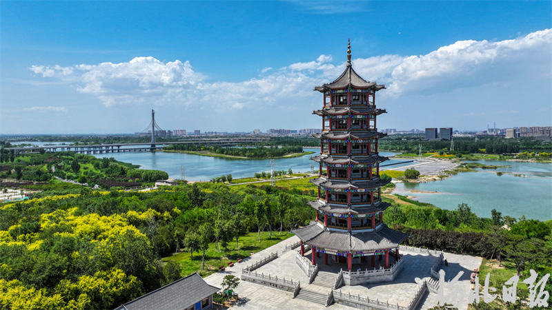 滹沱河畔夏意浓