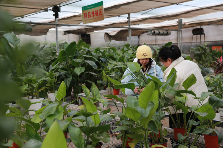 图片默认标题_fororder_图4