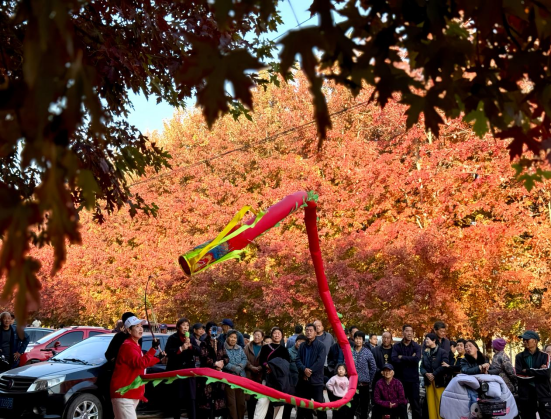 河北肃宁状元湖公园：红枫似火引客来 人文生态共绘秋韵画卷_fororder_河北肃宁状元湖公园：红枫似火引客来 人文生态共绘秋韵画卷29