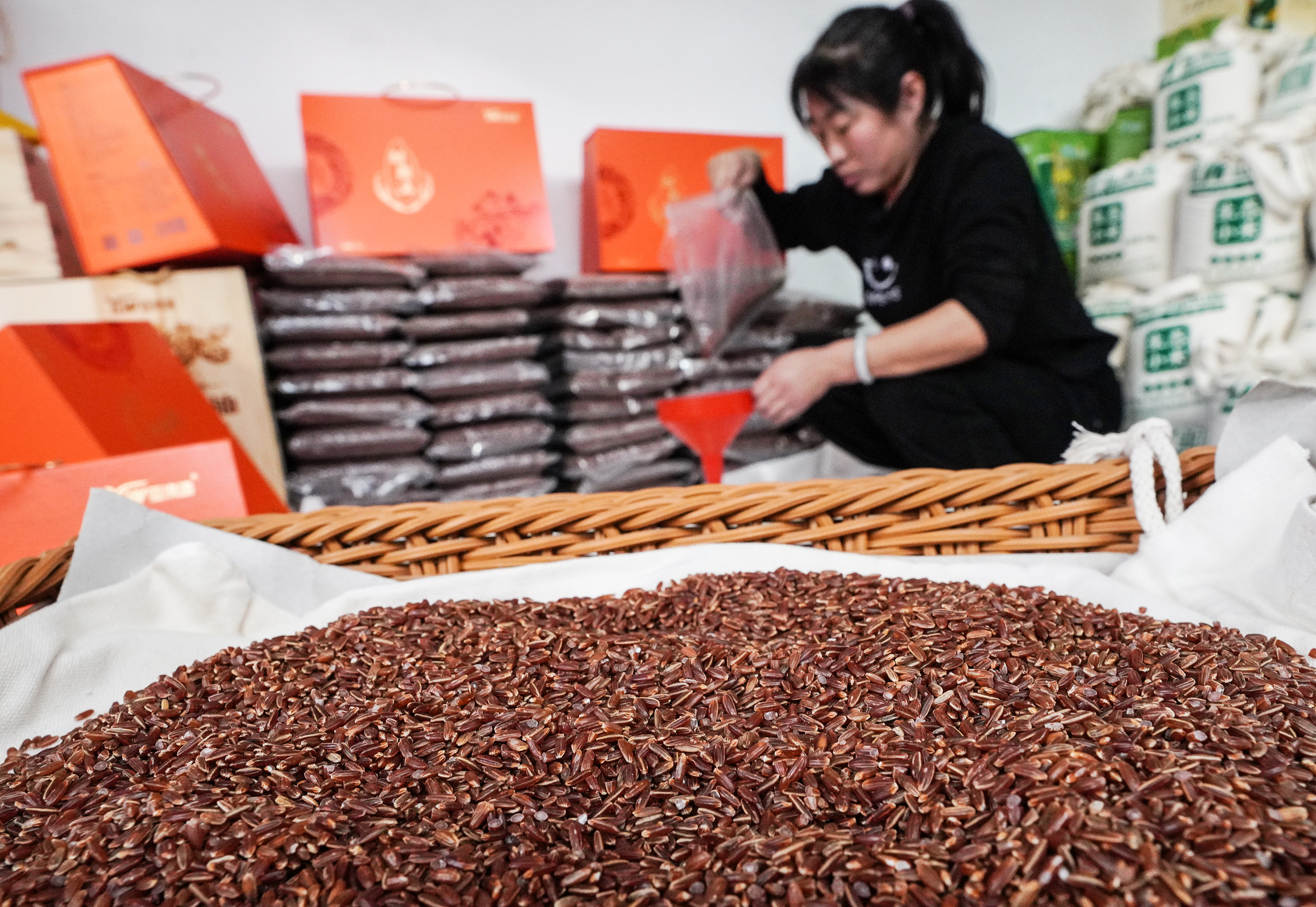 河北迁安：长城脚下胭脂米受宠走俏