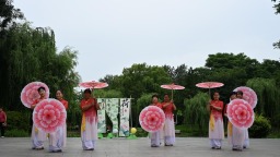 书香润新华 荷韵醉石太——石家庄市新华区全民阅读荷花主题活动在石太公园举办