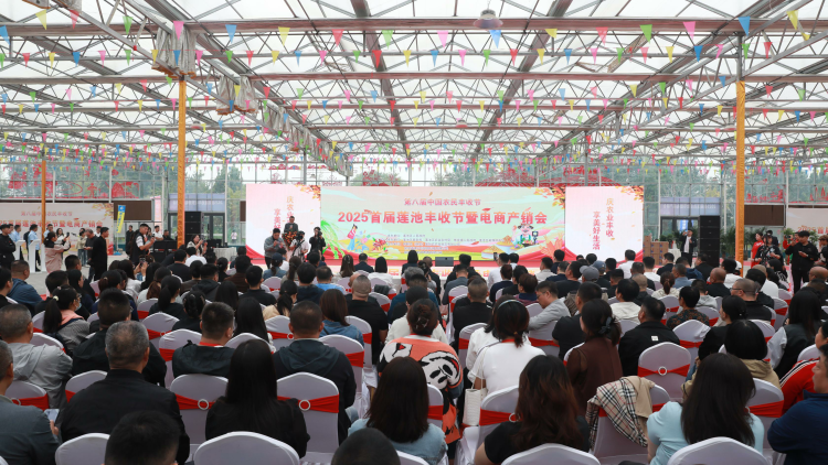 保定市莲池区：“媒体+电商”助力乡村振兴_fororder_图片一：9月23日，莲池区举办2025年首届莲池丰收节暨电商产销会。(王金中摄)