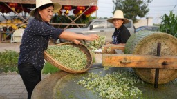 保定徐水：四季“村味”火出圈