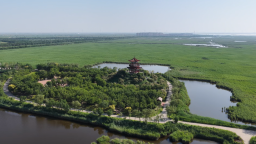 南大港湿地荣登2026年全国避暑气候资源地图
