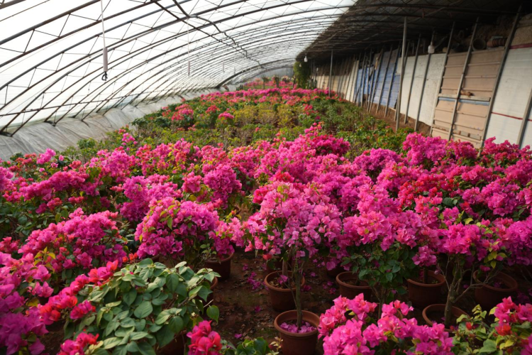 图片默认标题_fororder_图片 3