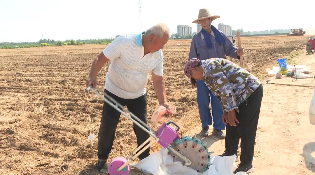 石家庄市鹿泉区：夏收夏播同步推进 良种良法保障粮食稳产_fororder_夏收夏播同步推进 良种良法保障粮食稳产3