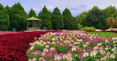 Autumn Charm and Blossoms Paint a Romantic Scene_fororder_图片4