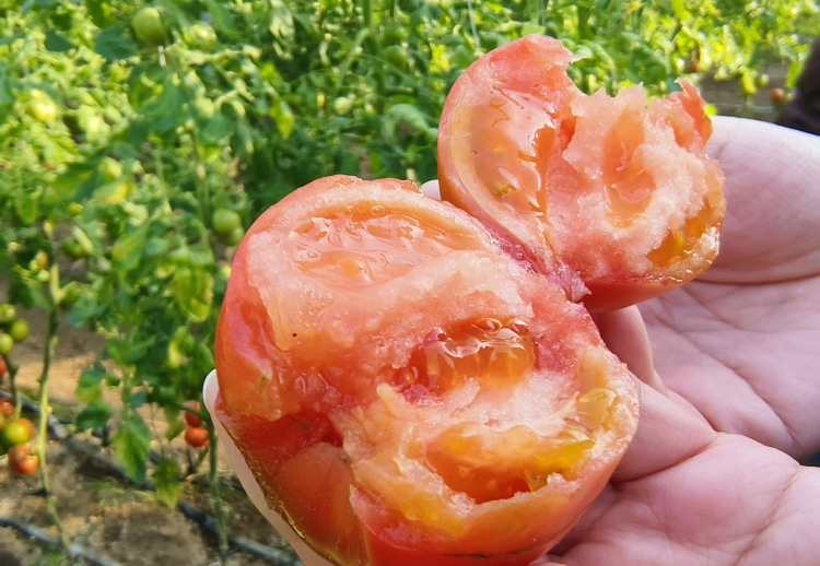 图片默认标题_fororder_图片 3