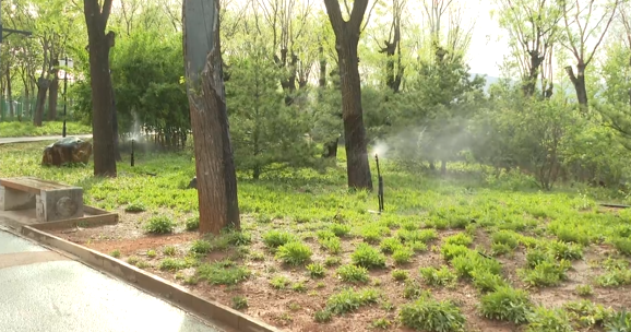 石家庄市鹿泉区：强化植物管护 全力迎接“五一”假期_fororder_image002