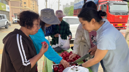 河北高碑店：社区搭台 助农惠民
