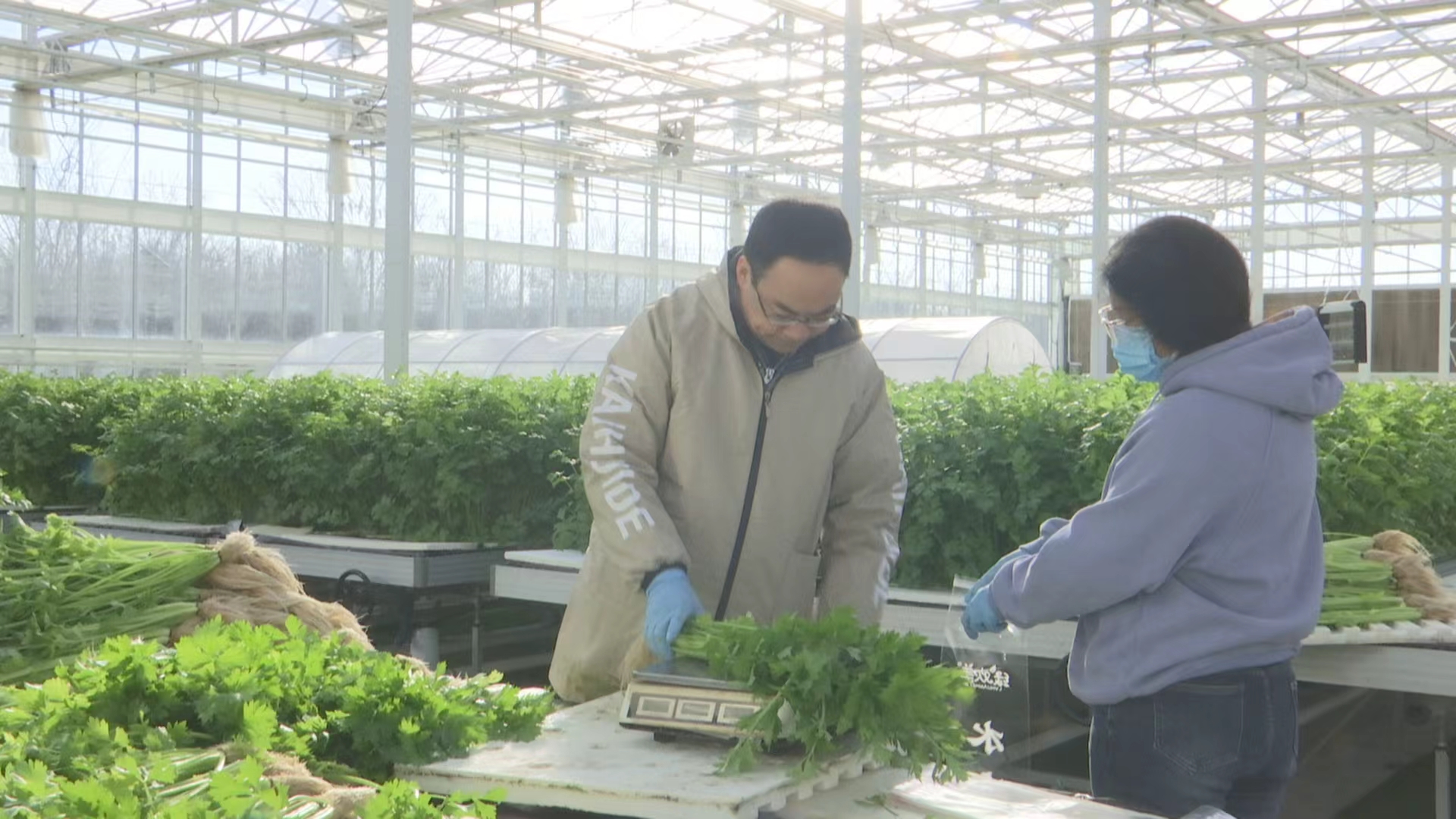 图片默认标题_fororder_image001