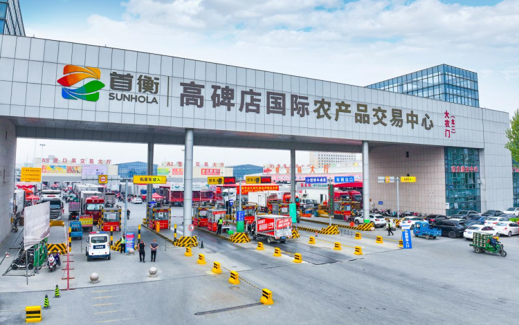 河北高碑店：托起乡村振兴“大民生”_fororder_图片1
