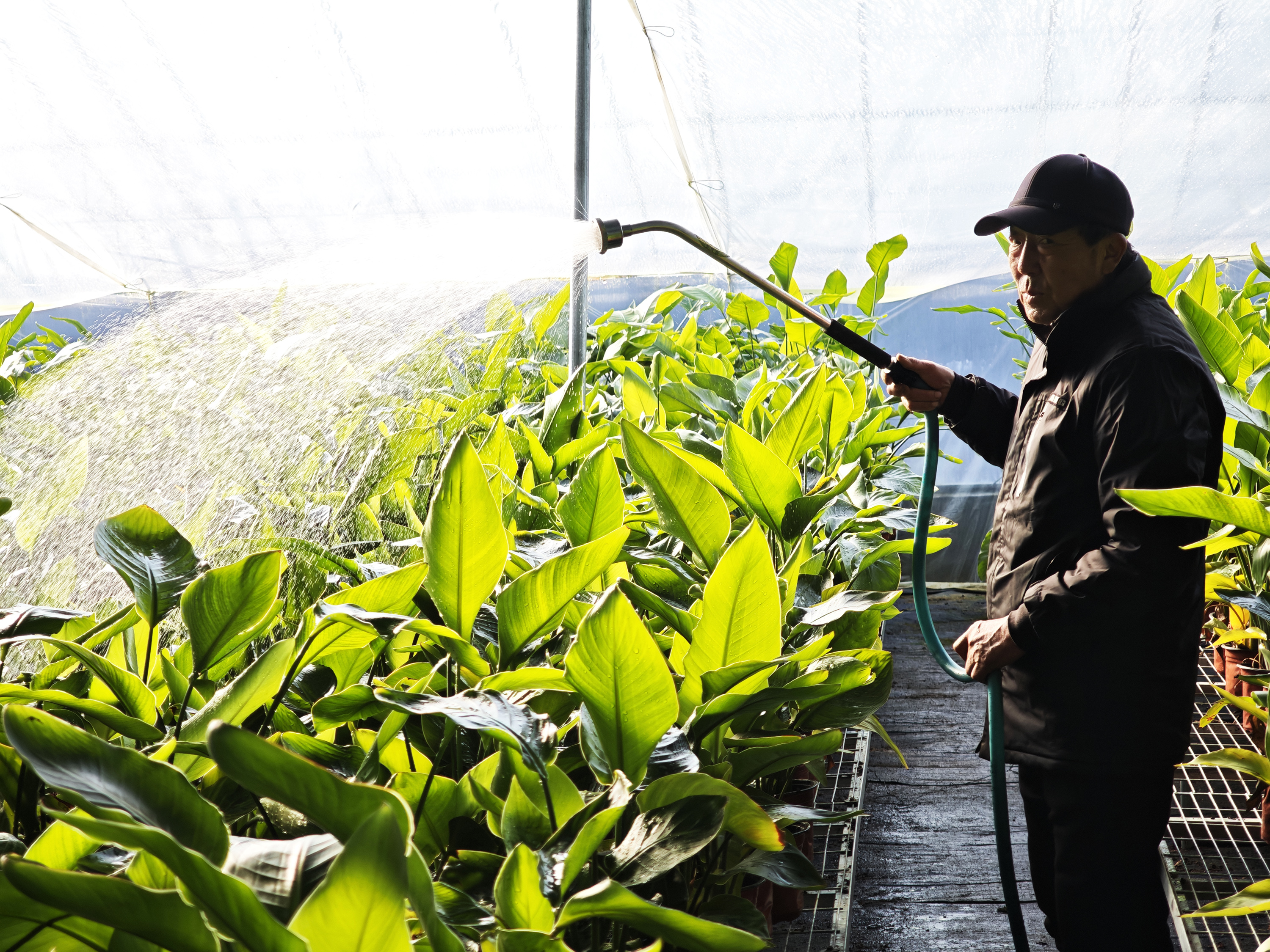 图片默认标题_fororder_图3