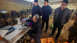 河北涞源：冷凉山区创高产 科技赋能玉米丰收