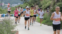 图片默认标题